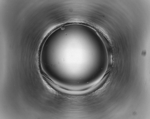 X0000099580942200805161232