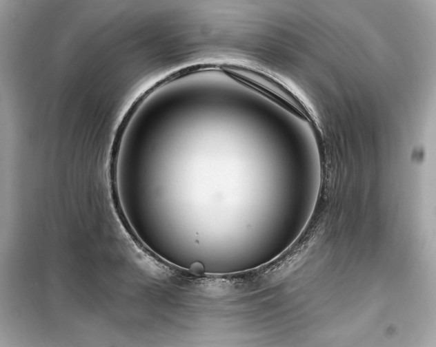 X0000099580943200805161232