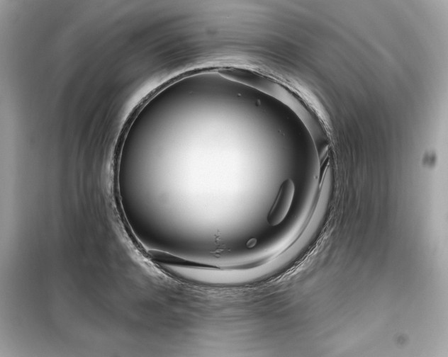 X0000099580944200805161232
