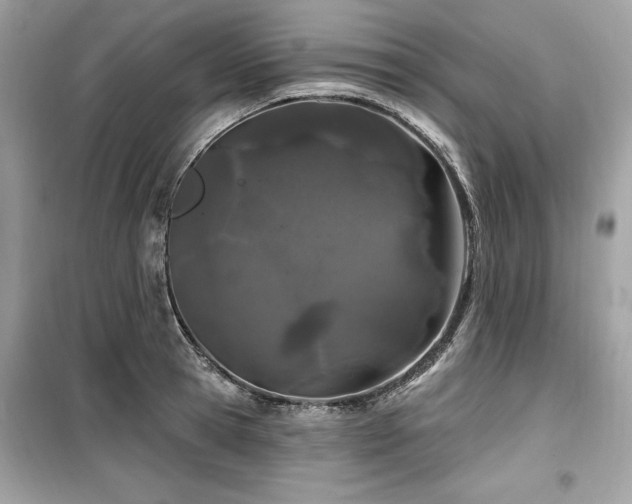 X0000099580945200805161232