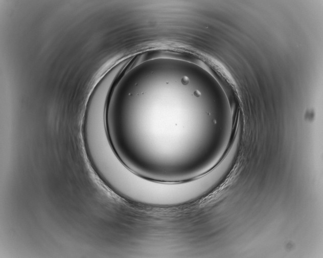 X0000099580946200805161232