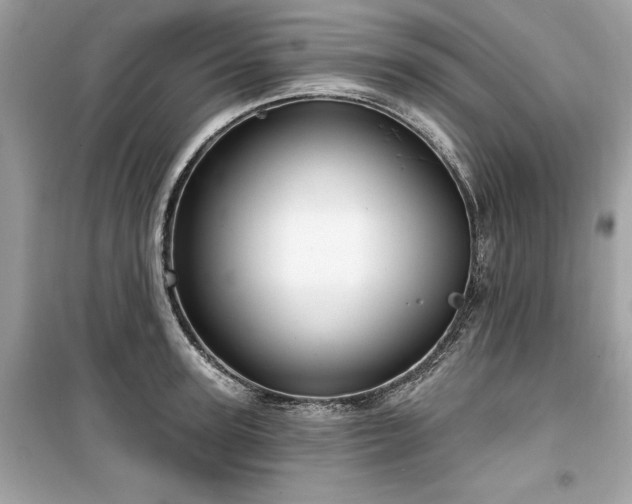 X0000099580947200805161232