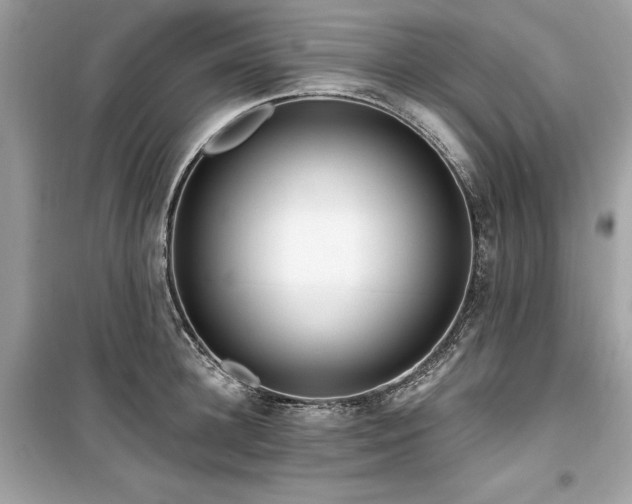 X0000099580948200805161232
