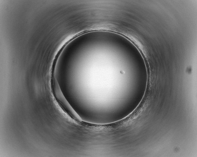 X0000099580949200805161232