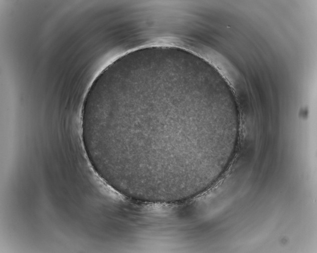 X0000099580950200805161232