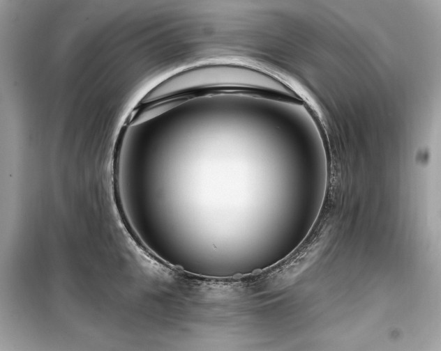 X0000099580951200805161232