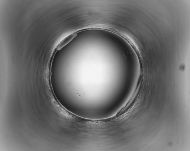 X0000099580952200805161232