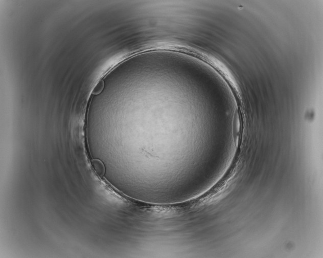X0000099580954200805161232