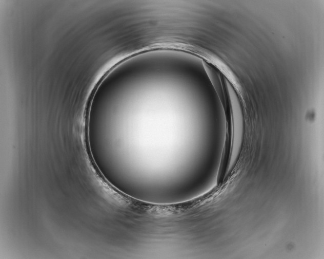 X0000099580955200805161232