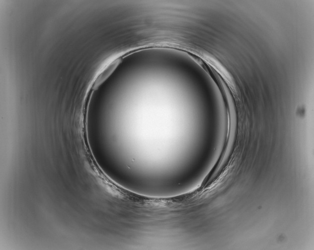 X0000099580956200805161232