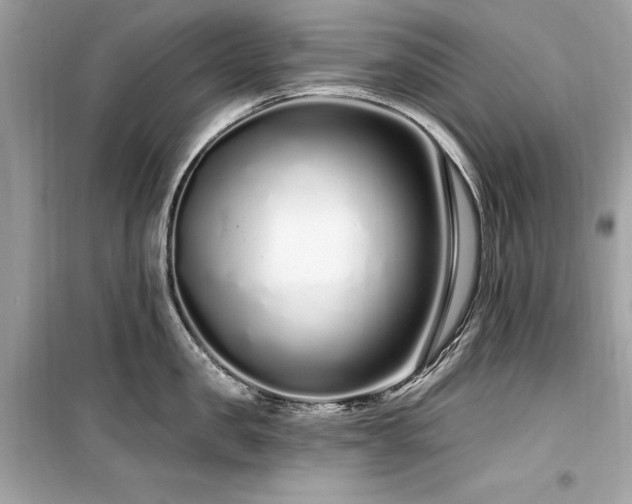 X0000099580957200805161232