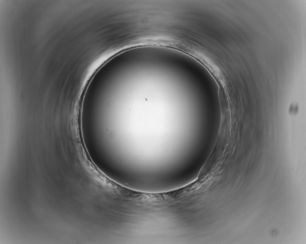 X0000099580960200805161232
