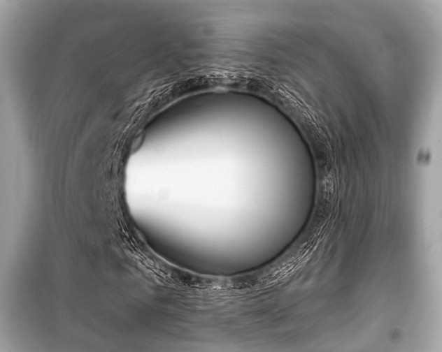 X0000099580961200805161231