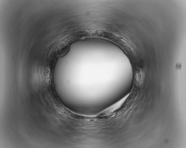 X0000099580963200805161231