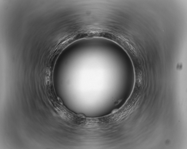 X0000099580964200805161231