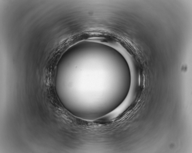 X0000099580965200805161231