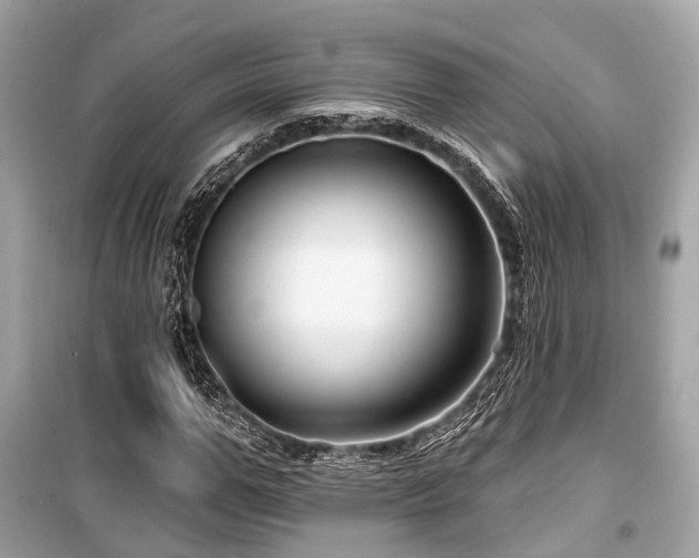 X0000099580967200805161231