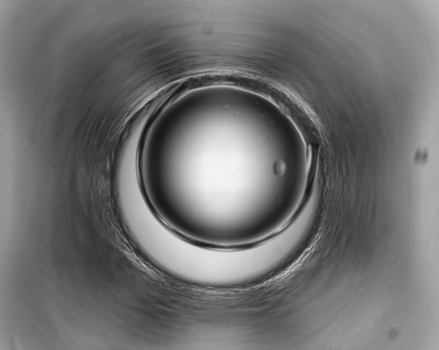 X0000099580969200805161231