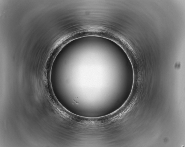 X0000099580970200805161231