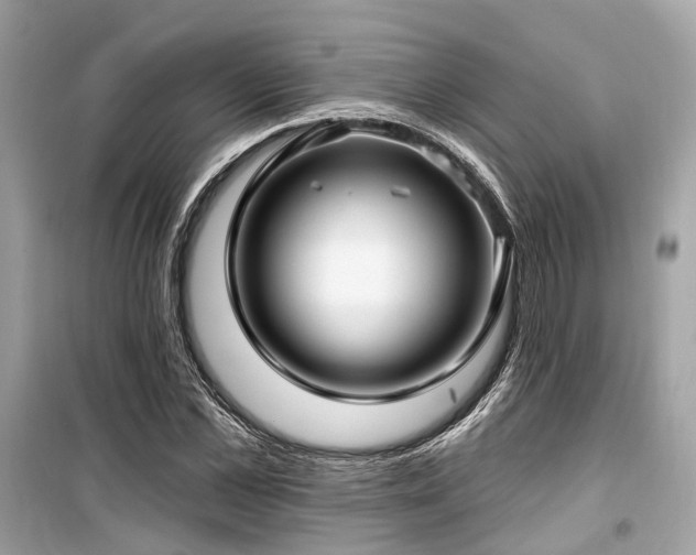 X0000099580973200805161231