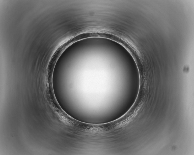 X0000099580974200805161231