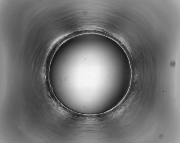 X0000099580979200805161231