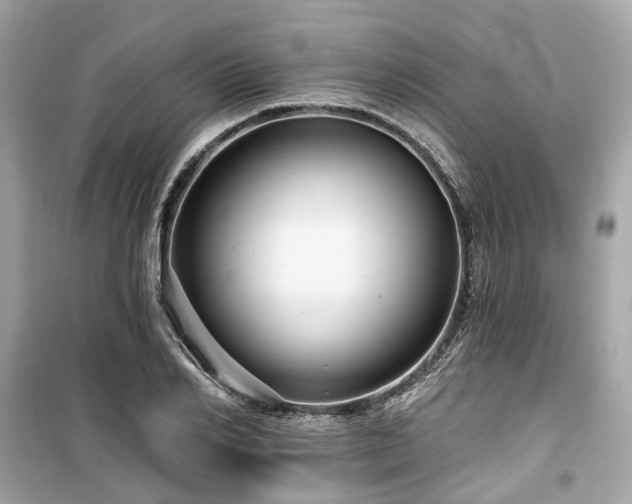 X0000099580982200805161231