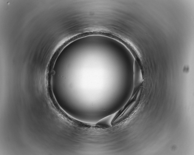 X0000099580983200805161231