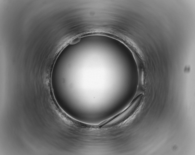 X0000099580985200805161231