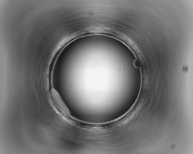 X0000099580986200805161231