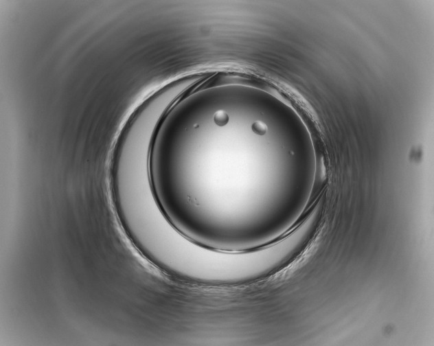 X0000099580989200805161231
