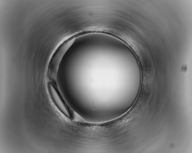 X0000099580992200805161231
