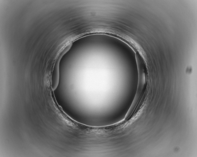 X0000099580993200805161231