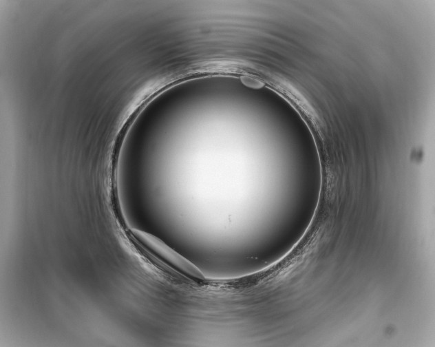 X0000099580994200805161231