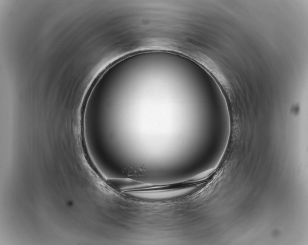 X0000099580996200805161231