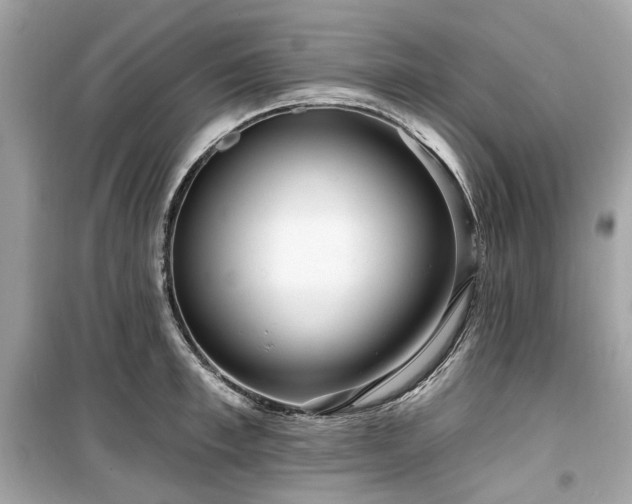 X0000099580997200805161231