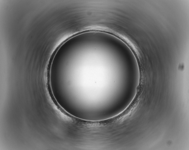 X0000099580999200805161230