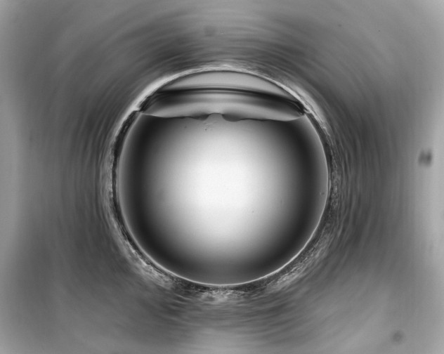 X0000099581000200805161230