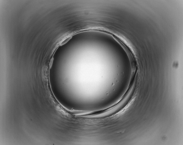 X0000099581001200805161230