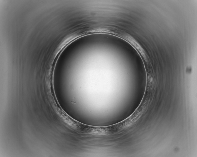 X0000099581002200805161230