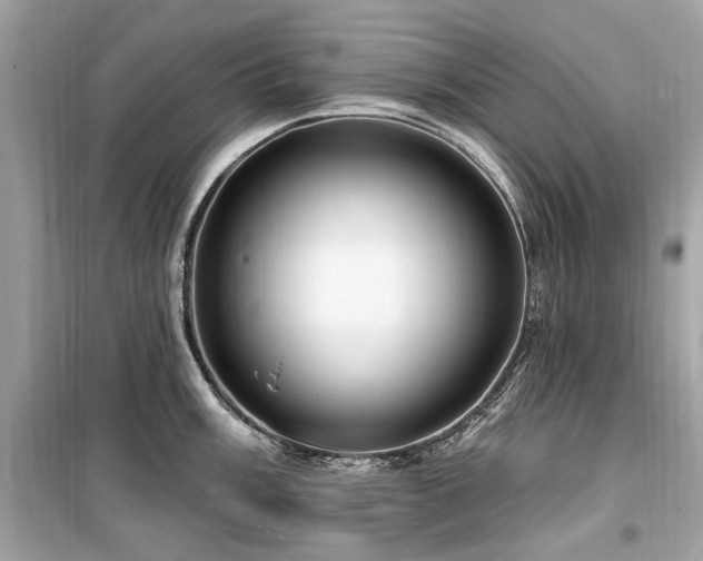 X0000099581003200805161230