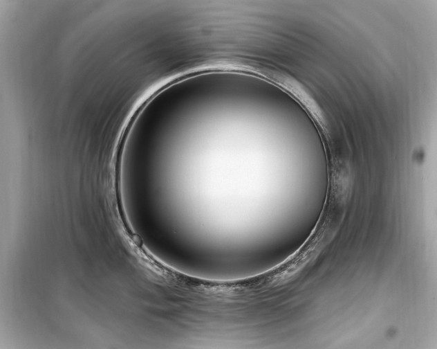X0000099581004200805161230