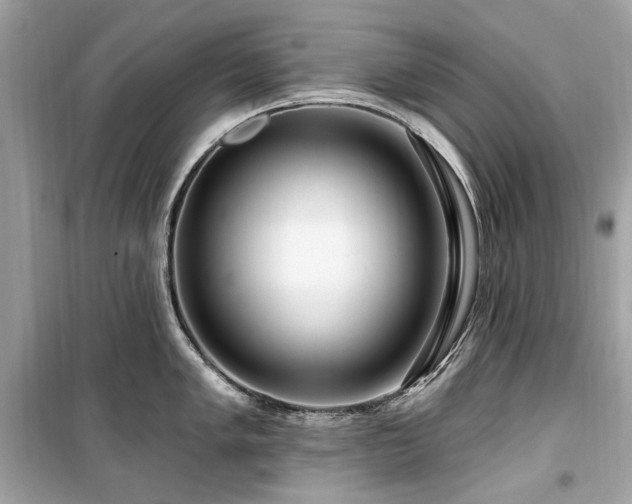 X0000099581005200805161230