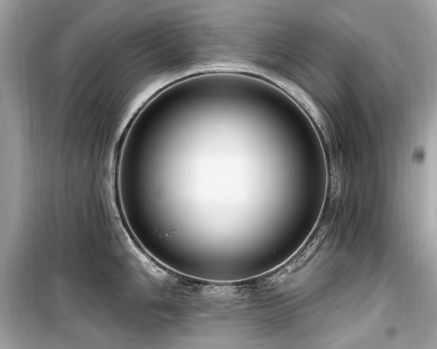 X0000099581006200805161230