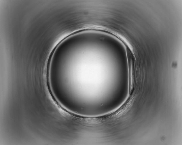 X0000099581007200805161230
