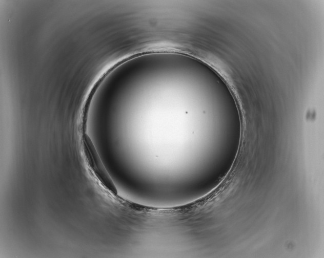 X0000099581008200805161230