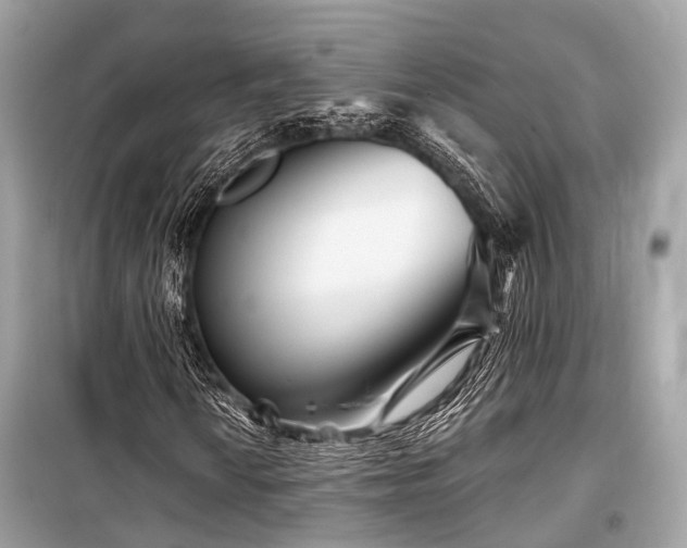 X0000099581010200805161230