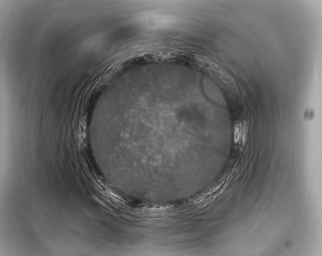 X0000099581011200805161230