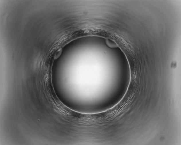 X0000099581012200805161230