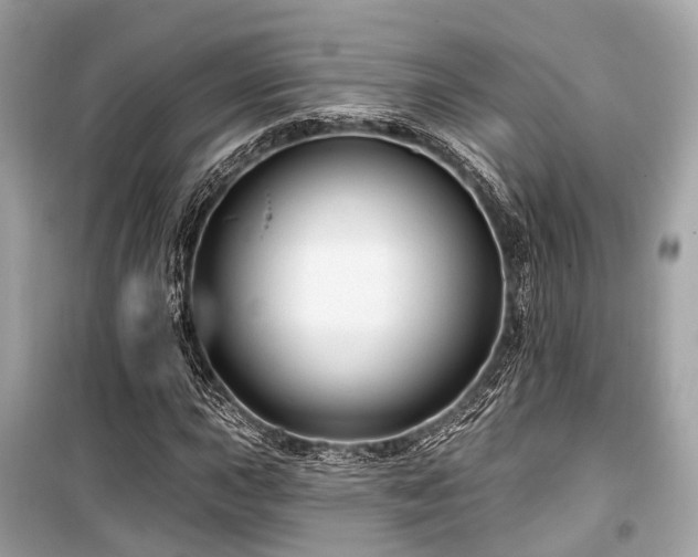 X0000099581015200805161230